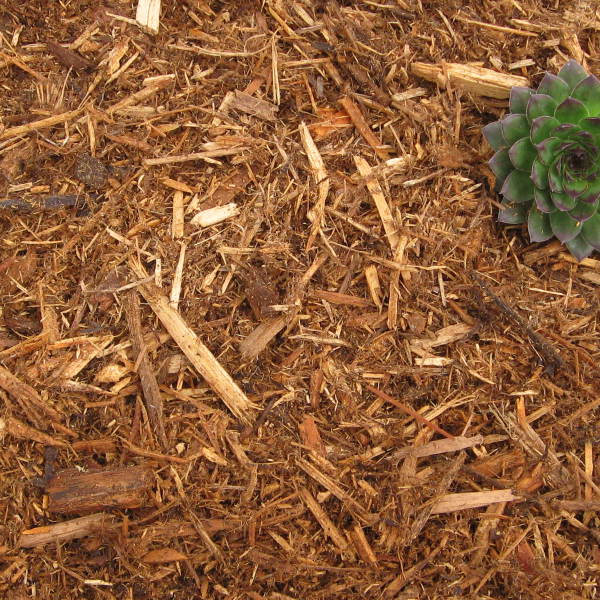 Cypress Mulch Greendell Landscape Solutions