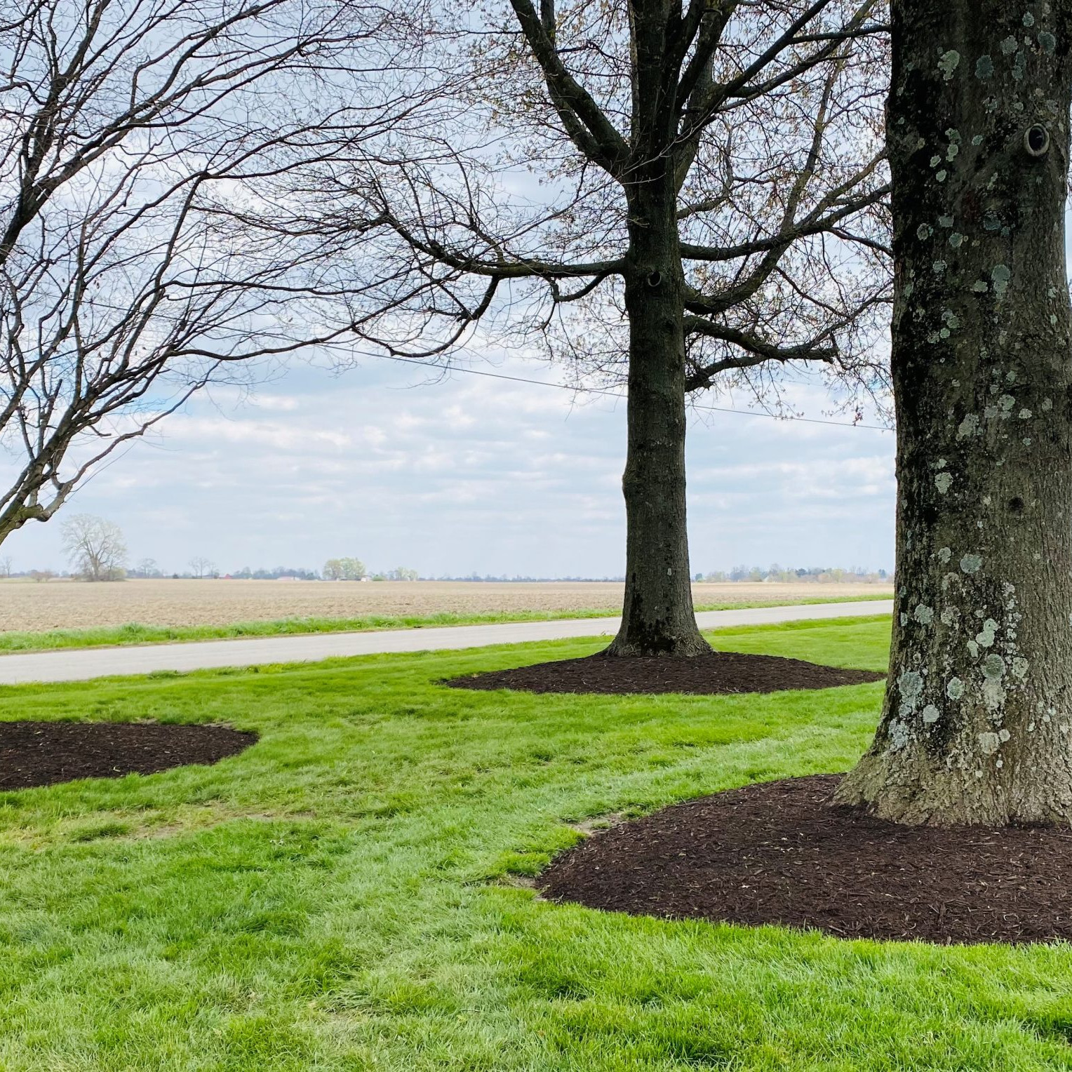 Color Enhanced Hardwood Bark - Greendell Landscape Solutions